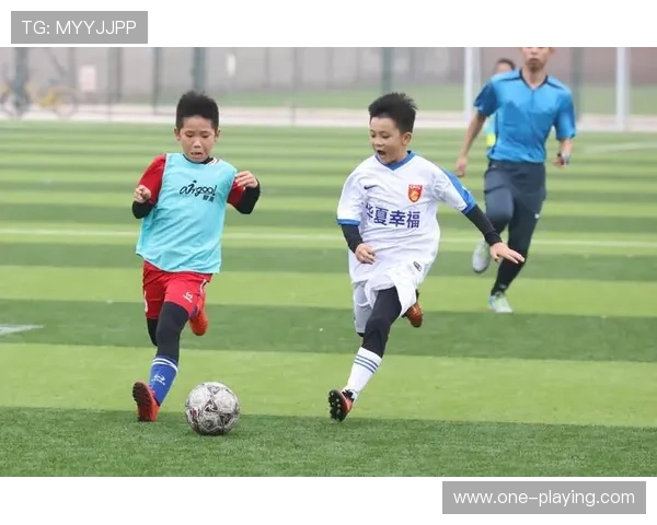 球星眼中的中国足球：他们对中国足球现状与未来的评价和期望